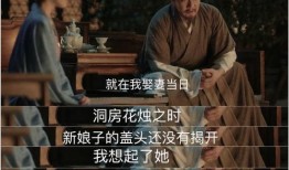 官家娘子吃瓜人免费阅读,宫廷秘闻免费阅读大揭秘